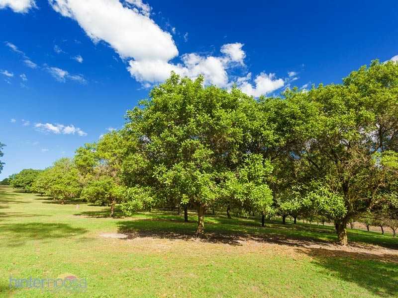 2052 Sandy Creek Rd, Downsfield QLD 4570