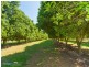 2052 Sandy Creek Rd, Downsfield QLD 4570