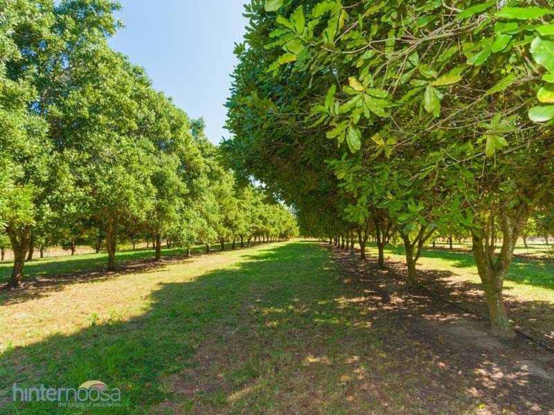 2052 Sandy Creek Rd, Downsfield QLD 4570