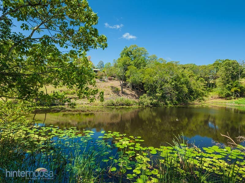 41 Mindi Rd, Eumundi QLD 4562