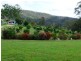 29 Murray Rd, Gheerulla QLD 4574