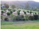 29 Murray Rd, Gheerulla QLD 4574