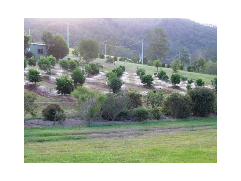 29 Murray Rd, Gheerulla QLD 4574