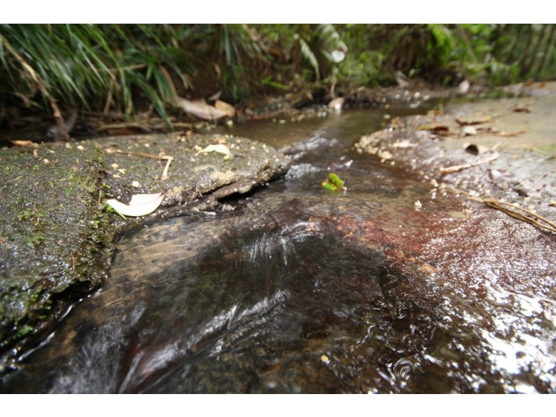 Lot 1 Brecon Cres, Buderim QLD 4556