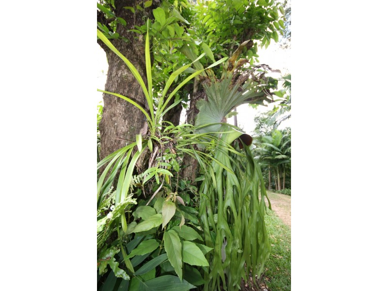 Lot 1 Brecon Cres, Buderim QLD 4556