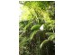 Lot 1 Brecon Cres, Buderim QLD 4556