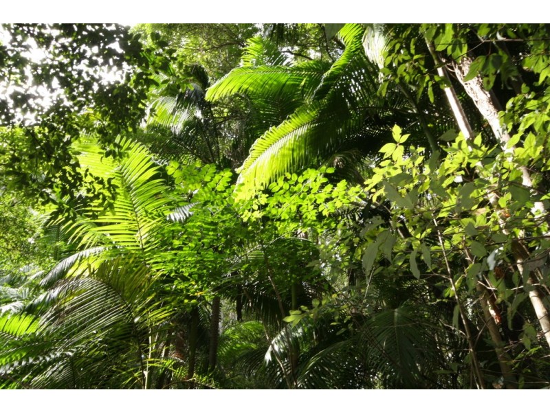 Lot 1 Brecon Cres, Buderim QLD 4556
