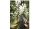 Lot 1 Brecon Cres, Buderim QLD 4556