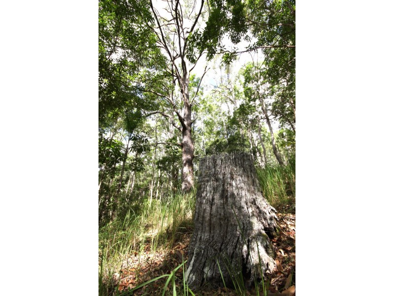 Lot 1 Brecon Cres, Buderim QLD 4556