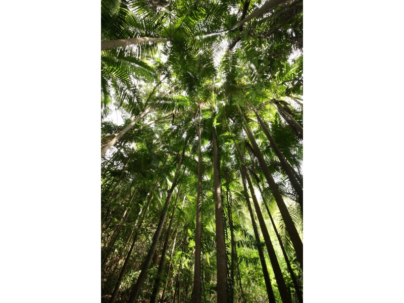 Lot 1 Brecon Cres, Buderim QLD 4556