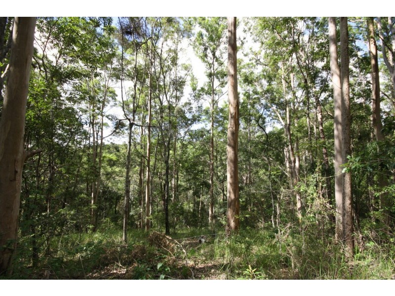 Lot 1 Brecon Cres, Buderim QLD 4556