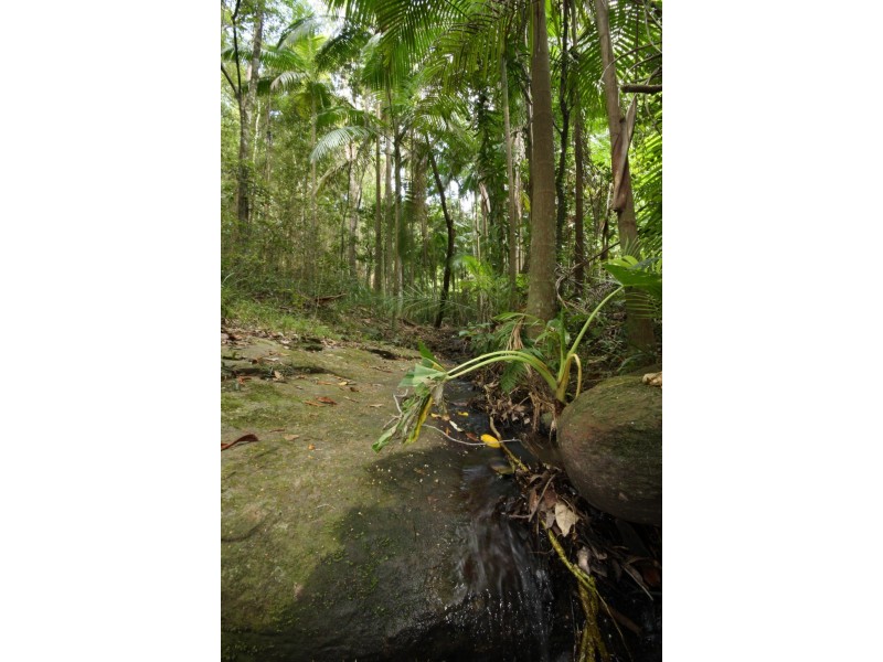 Lot 1 Brecon Cres, Buderim QLD 4556