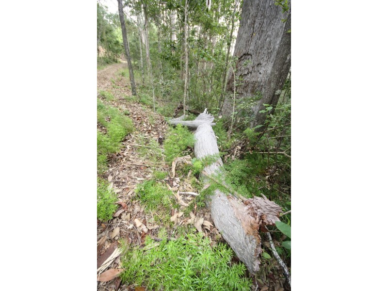 Lot 1 Brecon Cres, Buderim QLD 4556