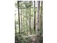 Lot 1 Brecon Cres, Buderim QLD 4556
