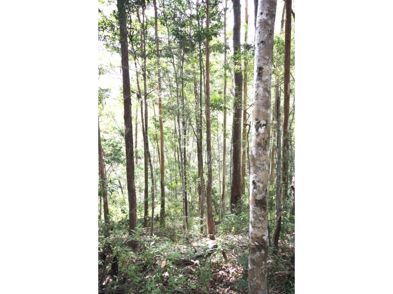 Lot 1 Brecon Cres, Buderim QLD 4556