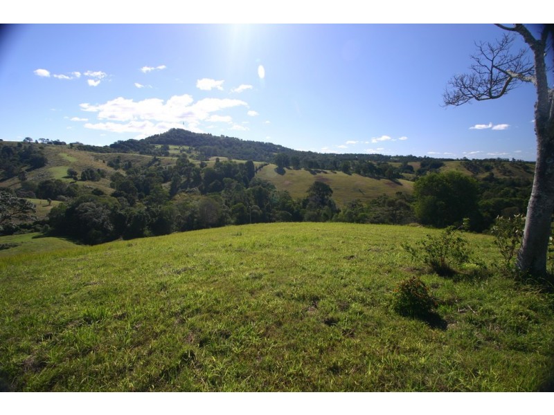 Black Mountain QLD 4563