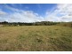Black Mountain QLD 4563
