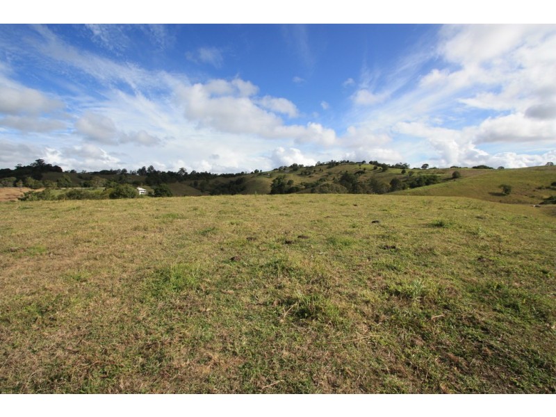 Black Mountain QLD 4563