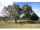 Black Mountain QLD 4563