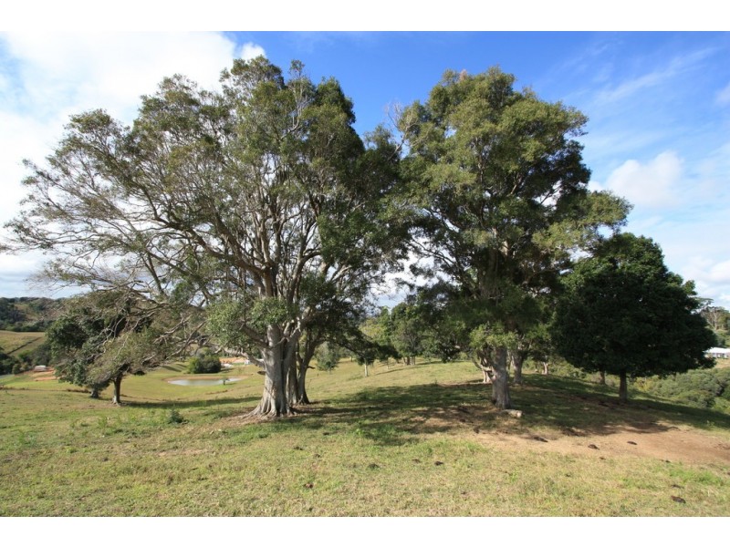Black Mountain QLD 4563