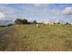 Black Mountain QLD 4563