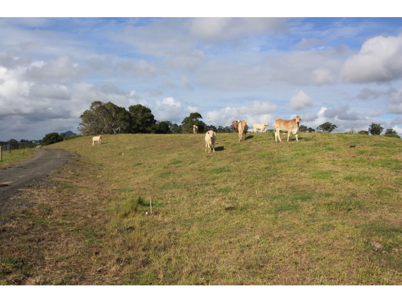 Black Mountain QLD 4563