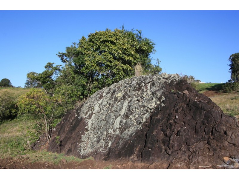 Black Mountain QLD 4563