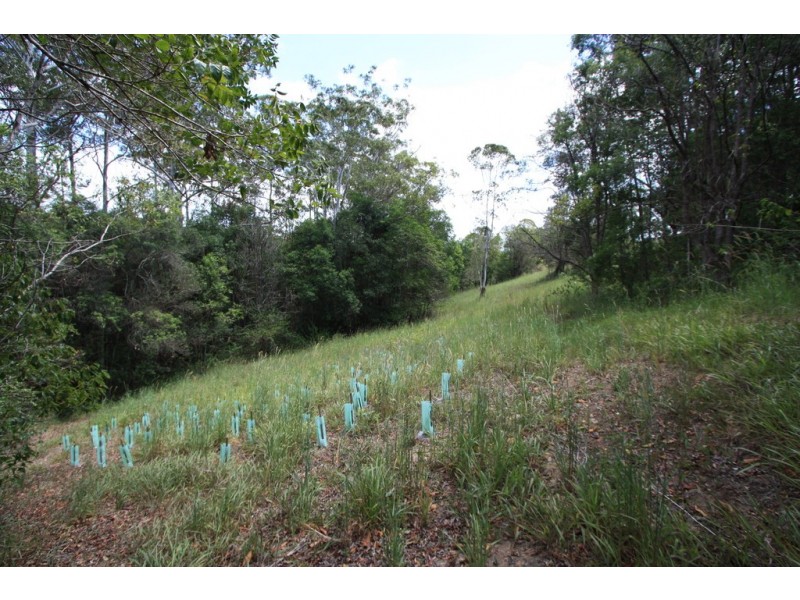 144 Jocelyn Drive, Eumundi QLD 4562