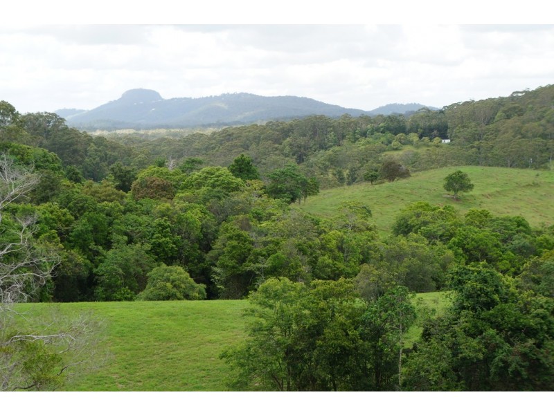 Proposed Lot 1 Jocelyn Drive, Eumundi QLD 4562