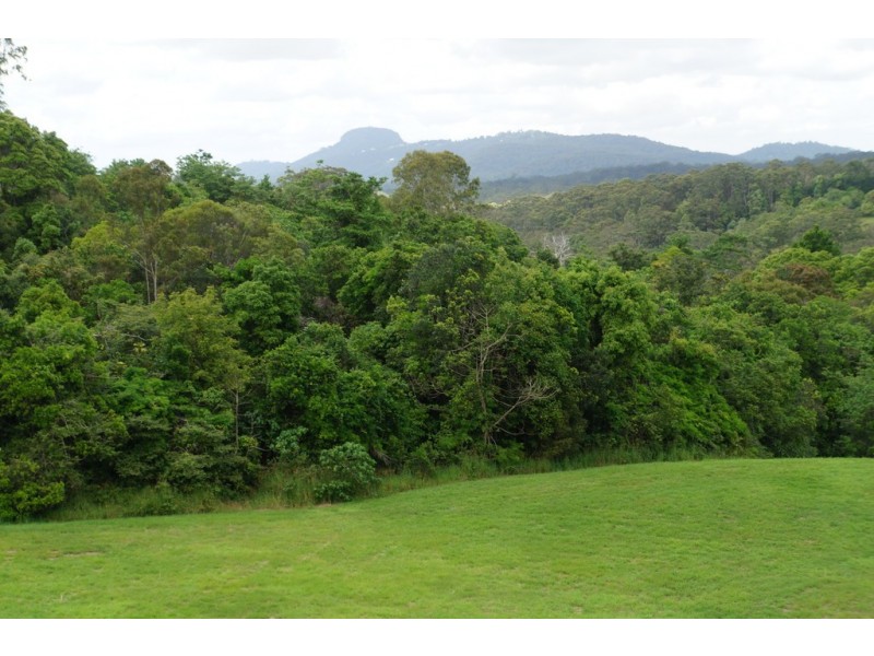 proposed L16 Jocelyn Drive, Eumundi QLD 4562