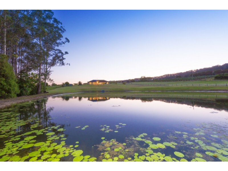 138 Gold Creek Road, North Arm QLD 4561