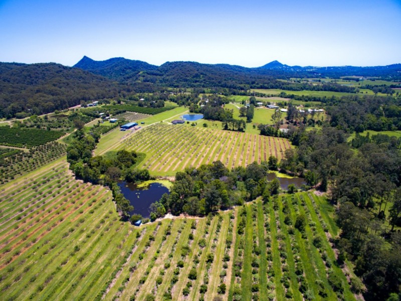 138 Gold Creek Road, North Arm QLD 4561