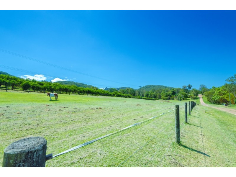 138 Gold Creek Road, North Arm QLD 4561