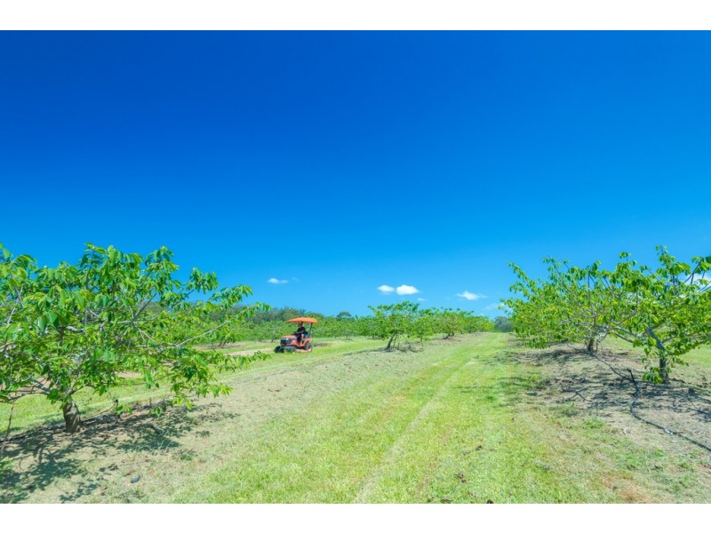 138 Gold Creek Road, North Arm QLD 4561