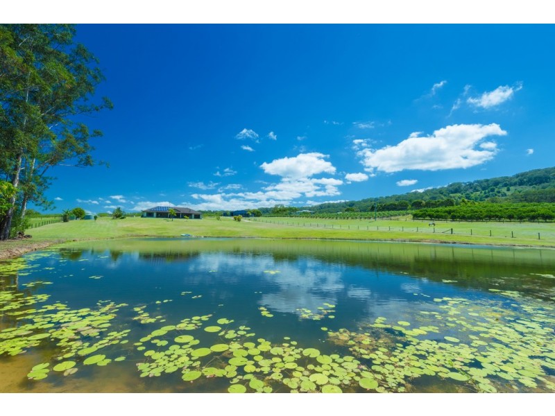 138 Gold Creek Road, North Arm QLD 4561