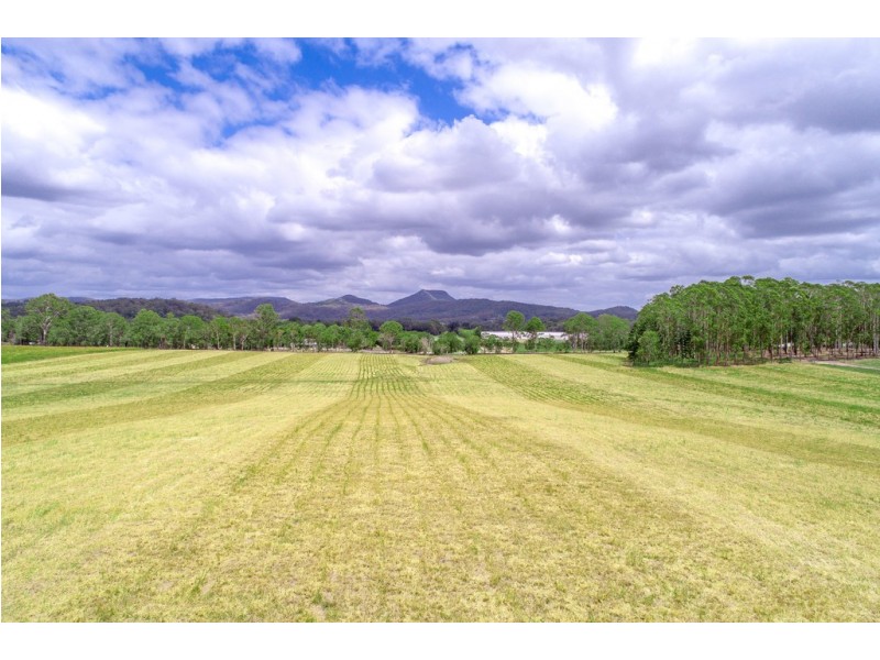 163 Seib Rd, Eumundi QLD 4562