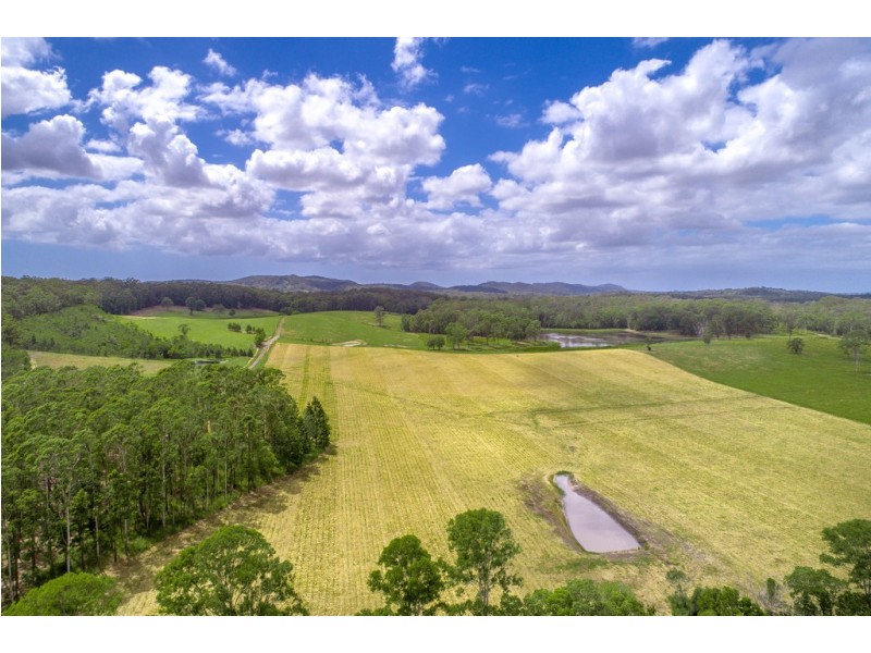 163 Seib Rd, Eumundi QLD 4562