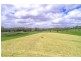 163 Seib Rd, Eumundi QLD 4562