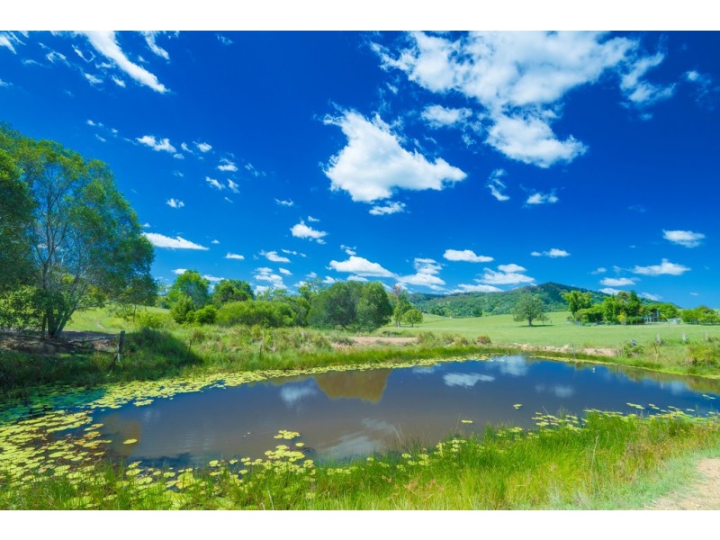 1911A Bruce Highway, Federal QLD 4568
