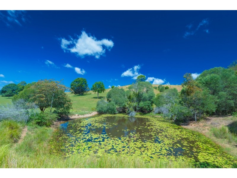 1911A Bruce Highway, Federal QLD 4568