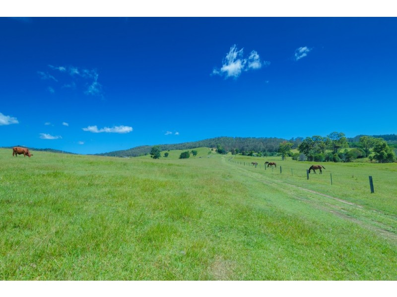 1911A Bruce Highway, Federal QLD 4568