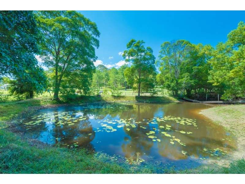 149 Ninderry Road, Ninderry QLD 4561