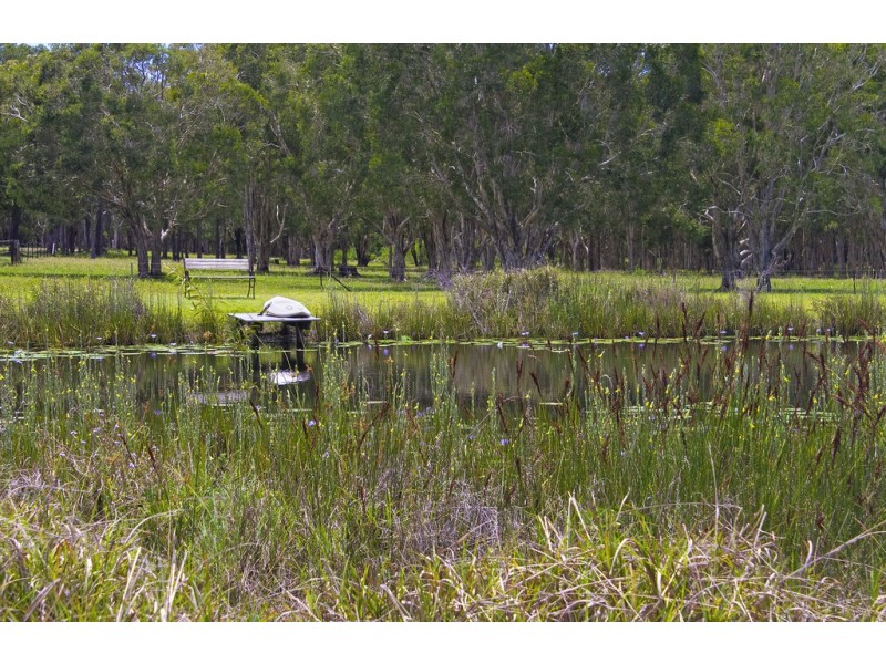 4 Amaroo Place, Cooroibah QLD 4565