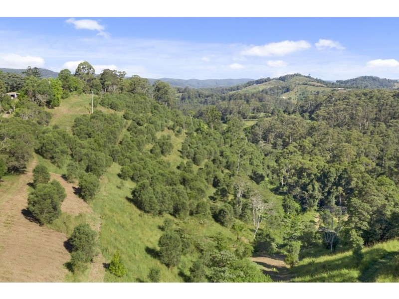 Lot 4 / 314 Old Ceylon Rd, Ridgewood QLD 4563