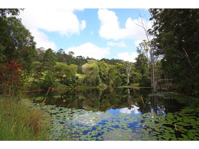 Lot 5 / 314 Old Ceylon Road, Ridgewood QLD 4563