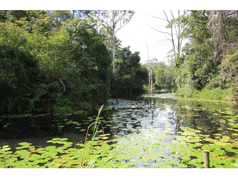 Lot 5 / 314 Old Ceylon Road, Ridgewood QLD 4563