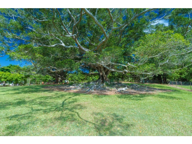 Cooroy Mountain QLD 4563