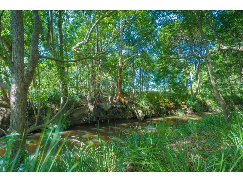 Cooroy Mountain QLD 4563