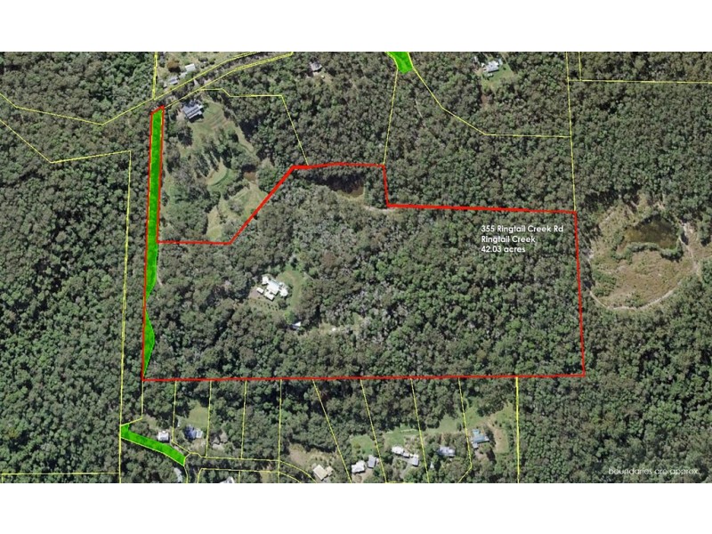 355 Ringtail Creek Rd, Ringtail Creek QLD 4565