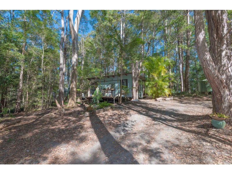 355 Ringtail Creek Rd, Ringtail Creek QLD 4565